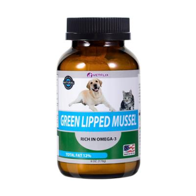  GREEN LIPPED MUSSEL